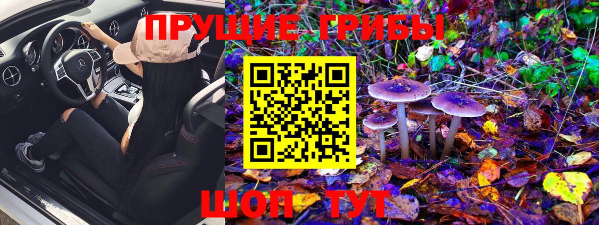 Меф   Коркино  LSD-25  Вход с VPN  ГАШ  Кетамин  Конопля  КОКАИН  ГАШ 