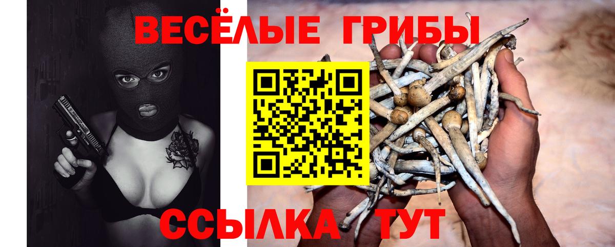 Псилоцибиновые грибы GOLDEN TEACHER  Галлюциногенные грибы мухоморы  Коркино  Вход с VPN 